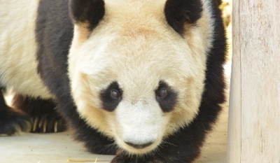 イメージタグ説明用の写真