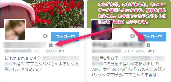 ツイッターの鍵つきアカウント、鍵垢