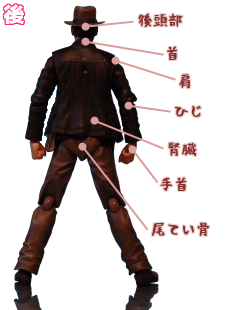 人間の急所、背面