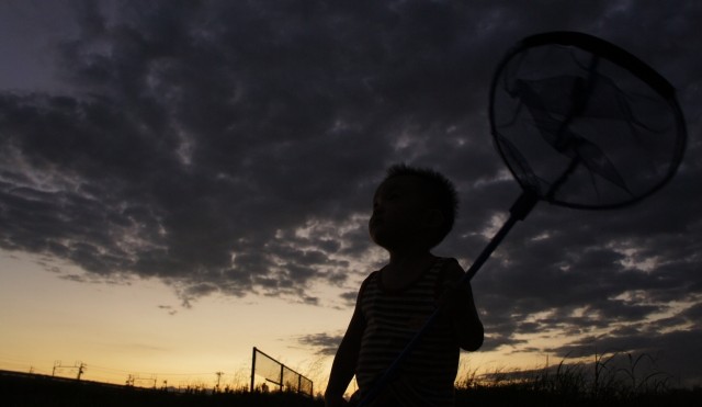 夕暮れ時、虫取り網を持つ少年