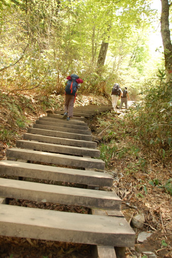 鳩待峠への階段